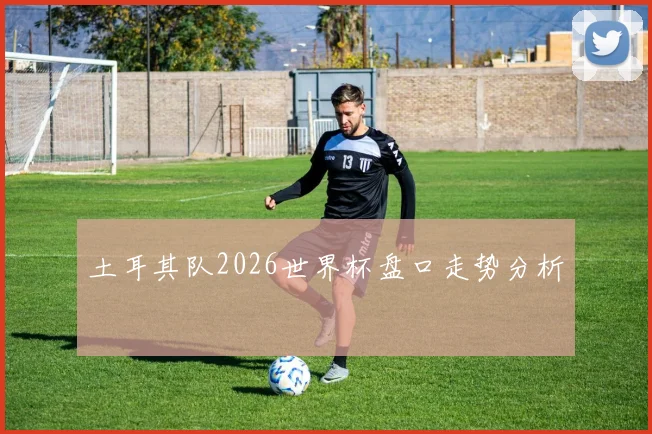 土耳其队2026世界杯盘口走势分析