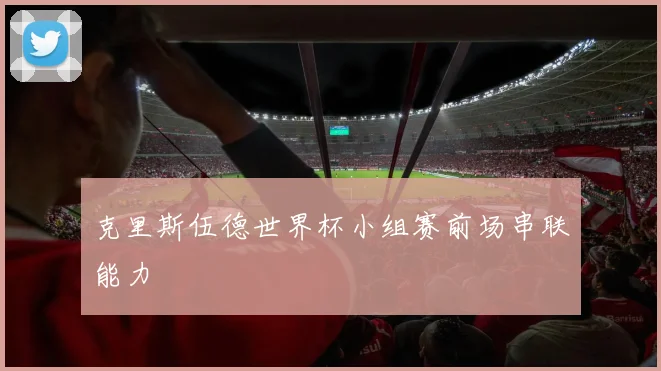 克里斯伍德世界杯小组赛前场串联能力