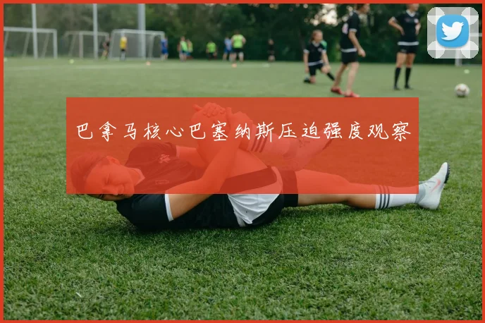 巴拿马核心巴塞纳斯压迫强度观察
