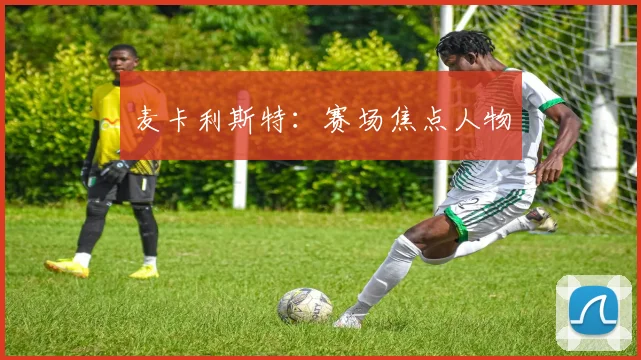 麦卡利斯特：赛场焦点人物