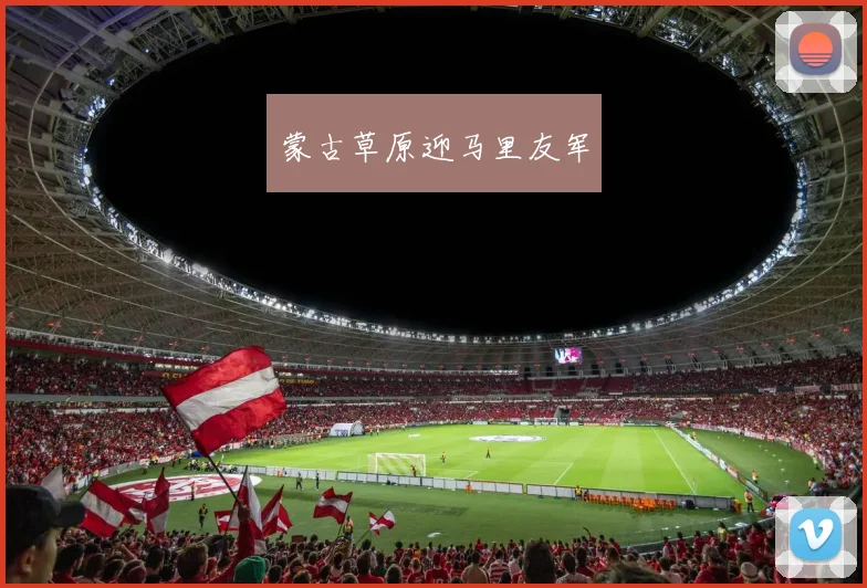 蒙古草原迎马里友军