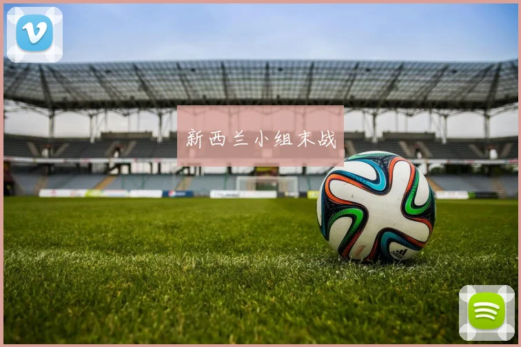 新西兰小组末战