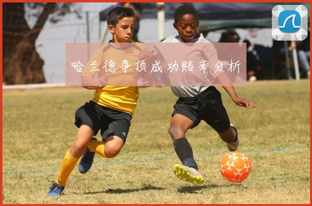 哈兰德争顶成功赔率分析
