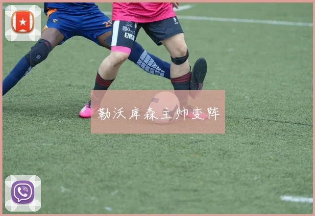 勒沃库森主帅变阵