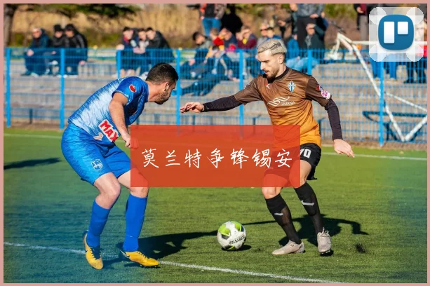 莫兰特争锋锡安