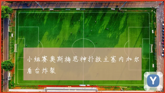 小组赛奥斯梅恩神扑救主塞内加尔看台炸裂