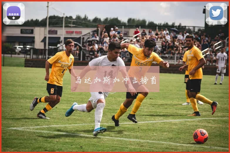 马达加斯加冲击榜首