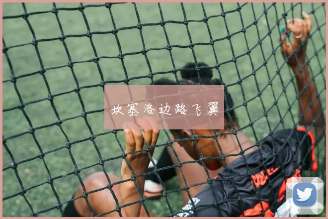 坎塞洛边路飞翼