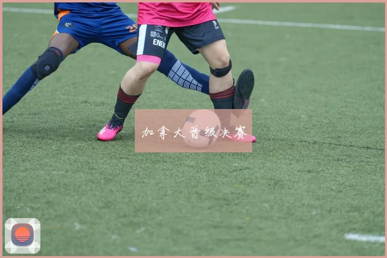 加拿大晋级决赛