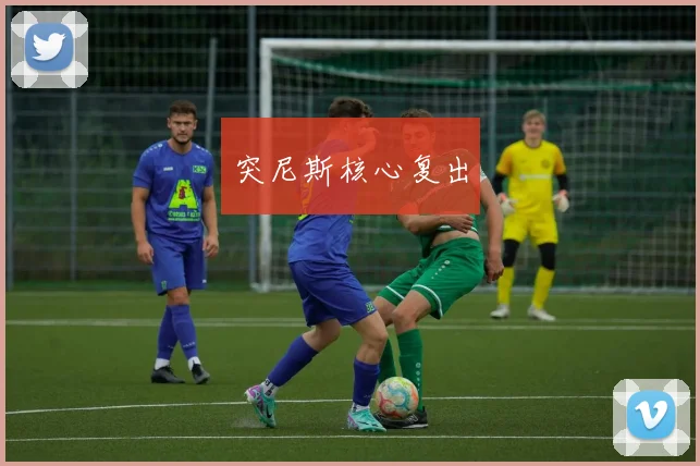 突尼斯核心复出