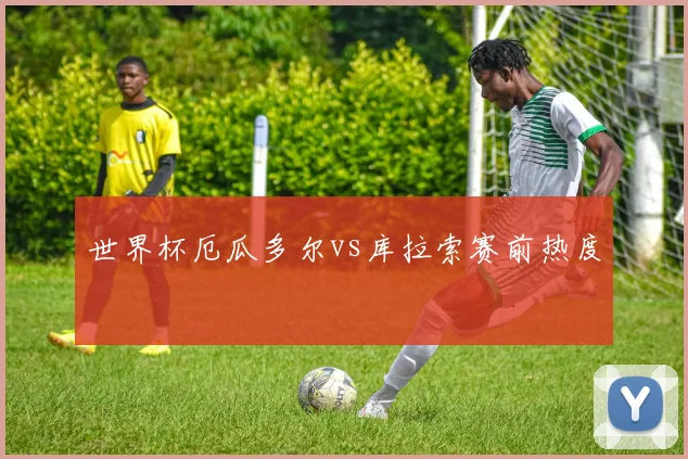 世界杯厄瓜多尔vs库拉索赛前热度