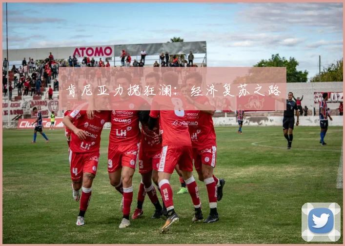肯尼亚力挽狂澜：经济复苏之路