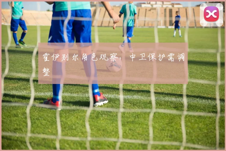 霍伊别尔角色观察，中卫保护需调整