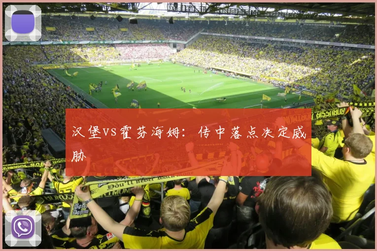 汉堡vs霍芬海姆：传中落点决定威胁