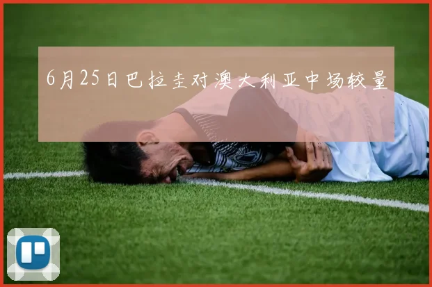 6月25日巴拉圭对澳大利亚中场较量