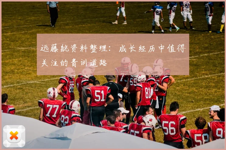 远藤航资料整理:成长经历中值得关注的青训道路