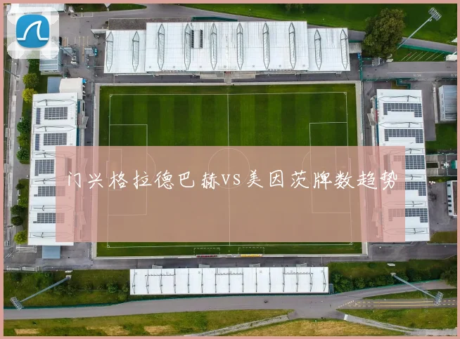 门兴格拉德巴赫vs美因茨牌数趋势