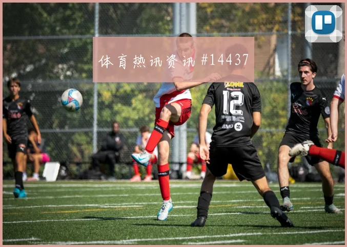 李刚仁面对南非防线能否主导反击盘口影响解读