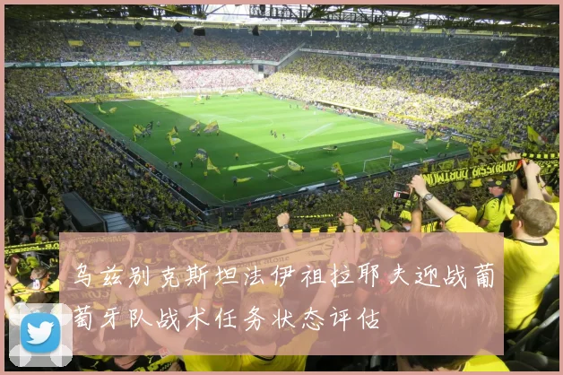 乌兹别克斯坦法伊祖拉耶夫迎战葡萄牙队战术任务状态评估